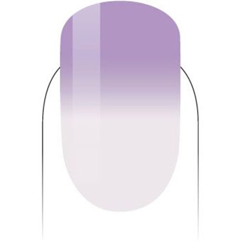 PMMG20-Lavender Blooms 