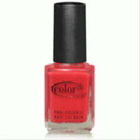 0804 COLOR-CLUB-Wildflower