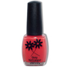 DAISY (D1063) Orange Kream