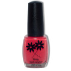 DAISY (D1065) Tropical Fruit