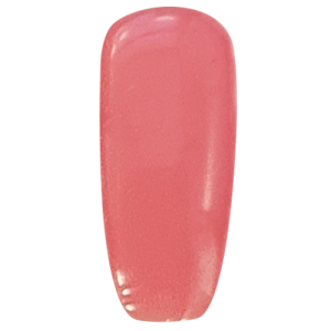 DND DC 177 BUILDER GEL DUAL