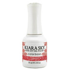 KS G461-Forbidden Gel Only