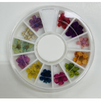 NAIL ART DRY FLOWER