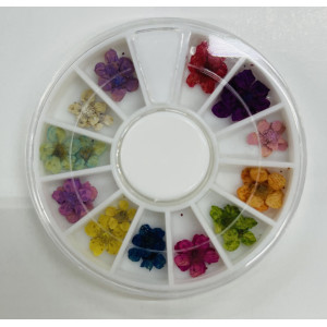 NAIL ART DRY FLOWER