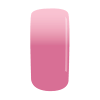 ME1005 BASIC INSPINK