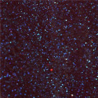 NUGEN NU186 Pep In Your Step