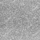 NUGEN NU203 Starship