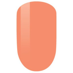 Perfect Match Dip 202