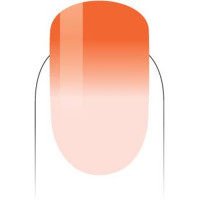 PMMG03-Sunrise Sunset