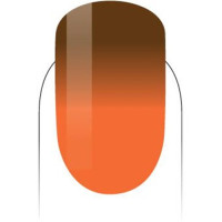 PMMG23-Desert Sunrise