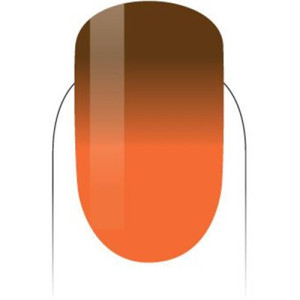 PMMG23-Desert Sunrise