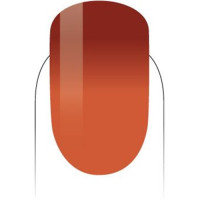 PMMG28-Firey Passion