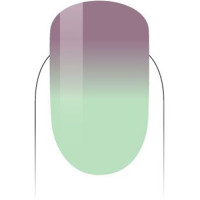 PMMG31-Island Wonder