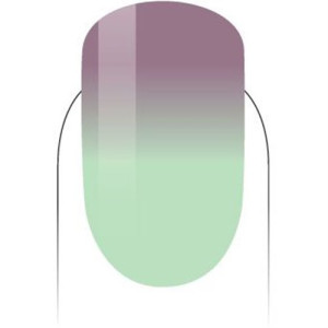 PMMG31-Island Wonder