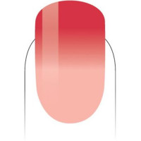 PMMG55 Crushed Coral