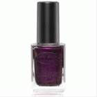 WA05 COLOR-CLUB-Winter Affair