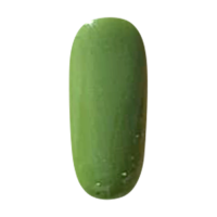 WAVE OMBRE DIP 2OZ - W082