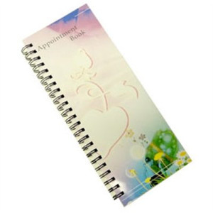 Appointment Book - 2 column