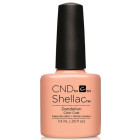 CND-Dandelion