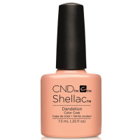 CND-Dandelion