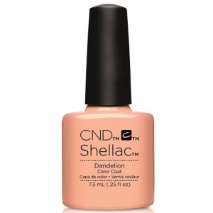 CND-Dandelion