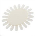 Nail Polish Color Chart - 1 ct